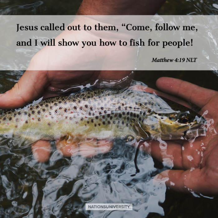 Weekly Reflection – How to Clean a Fish