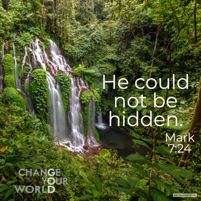 Weekly Reflection – He Could Not Be Hidden